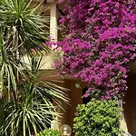 Con Giardino Appartamento Cannigione